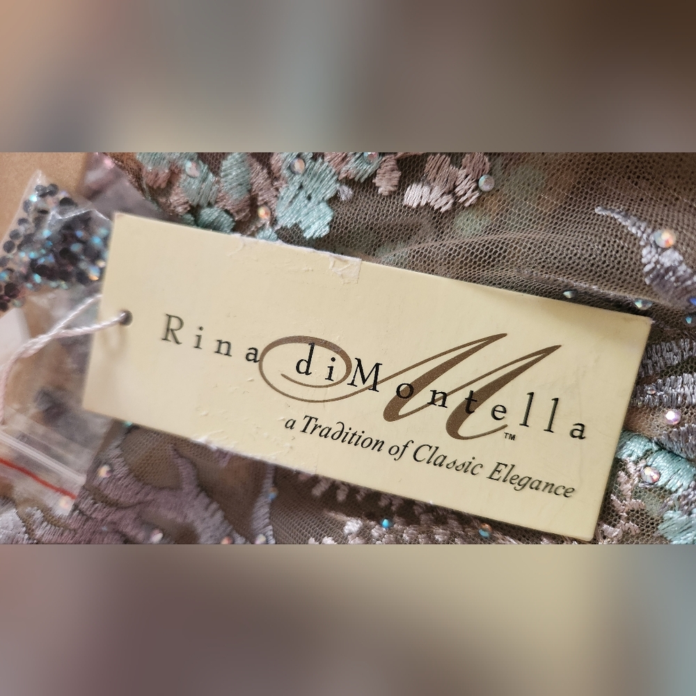 NWT Size 4 Rina diMontella Aqua & Multi Embroidered Botanical Gown - Picture 13 of 14